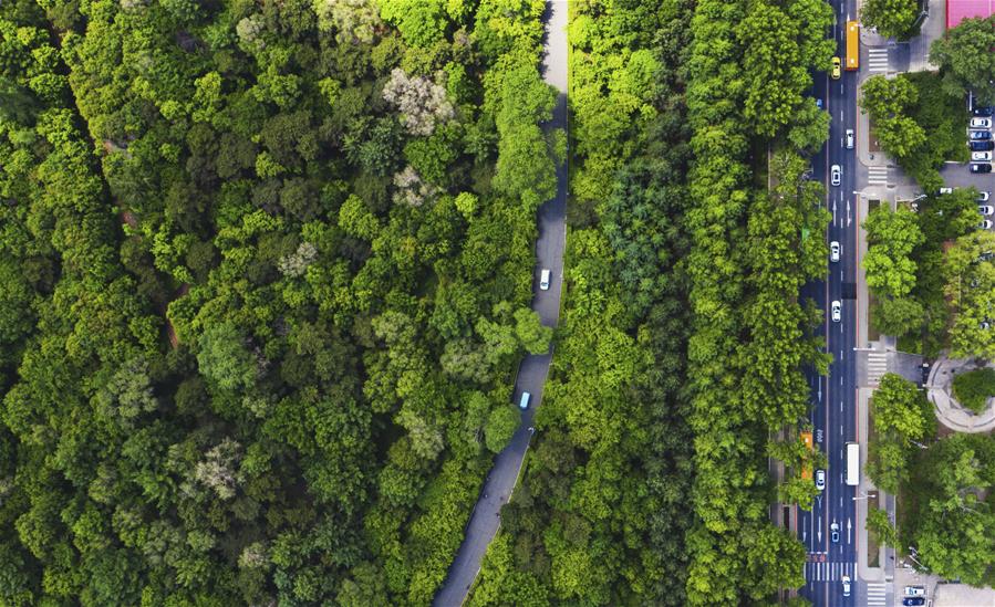 （環境）（3）長春：城市&ldquo;綠妝&rdquo;