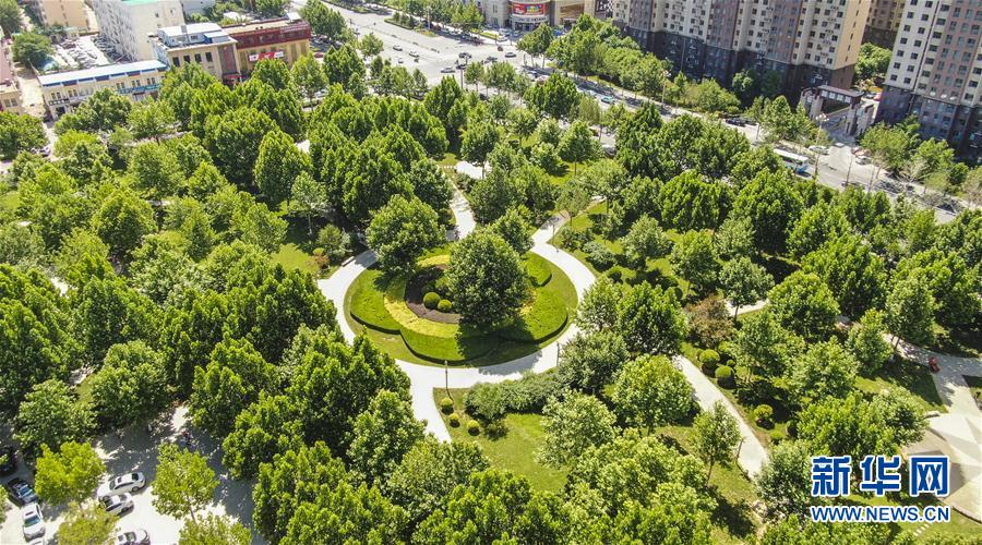 (社會)(1)河北霸州大力建設(shè)城市公園