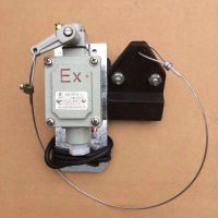 沈陽行吊配件批發-防爆起升限位