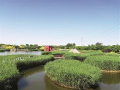 臨港濕地公園：“環保”“顏值”兼容并蓄