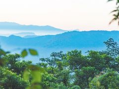 海南熱帶雨林國家公園開展一體化監測體系試點建設