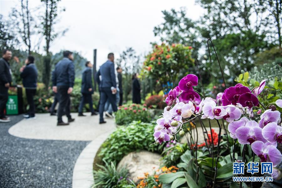 （圖文互動）（5）以自然之道，養萬物之生&mdash;&mdash;第四屆中國綠化博覽會亮點掃描