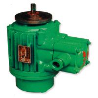 山西榆次起升電機(jī)